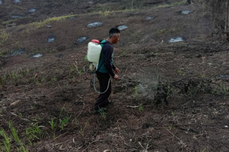 Tahura Paser jalin kemitraan dengan kelompok tani