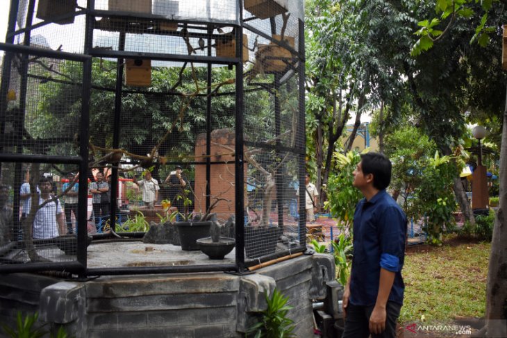 Artis Lucky Hakim apresiasi konservasi burung di Ancol