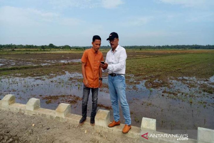 Lahan sawah di Aceh Utara didata ulang cegah pengurangan hak petani