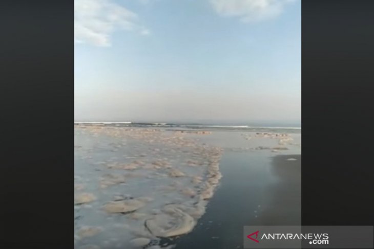 Pantai Teluk Sepang dipenuhi buih diduga buangan PLTU Bengkulu