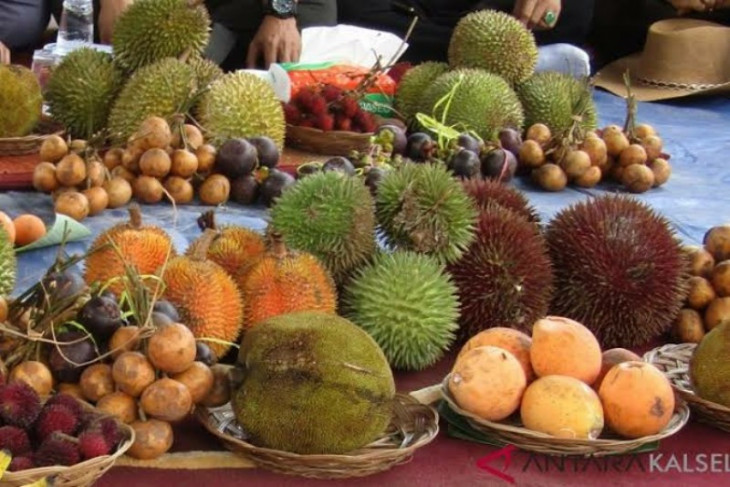 Distanbunnak Aceh Tamiang targetkan BPP tanam tanaman langka di 2020