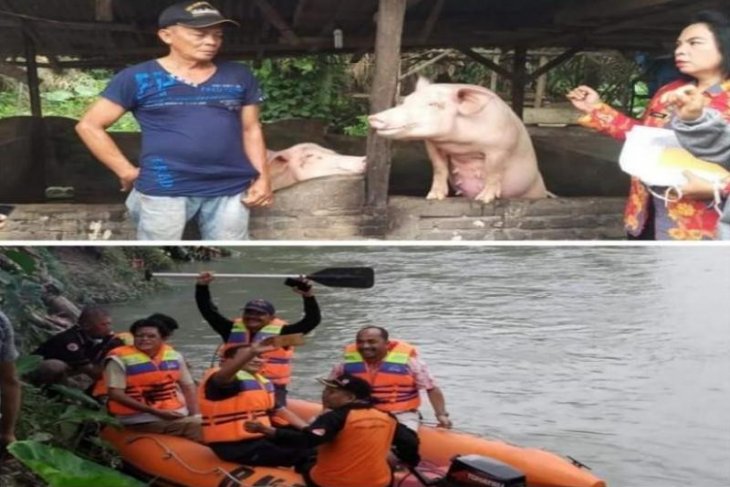 Pemkot Tebing Tinggi lakukan peninjauan ternak babi