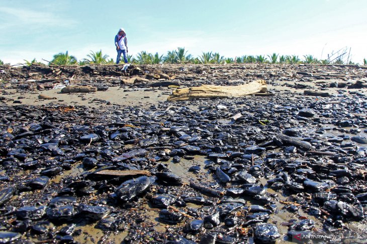 Batu bara kembali cemari pantai Aceh Barat