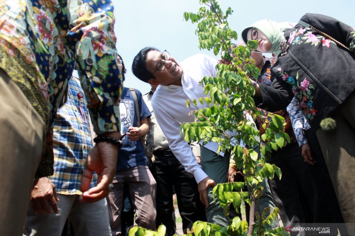 Inovasi percepat perubahan desa tertinggal menjadi desa maju