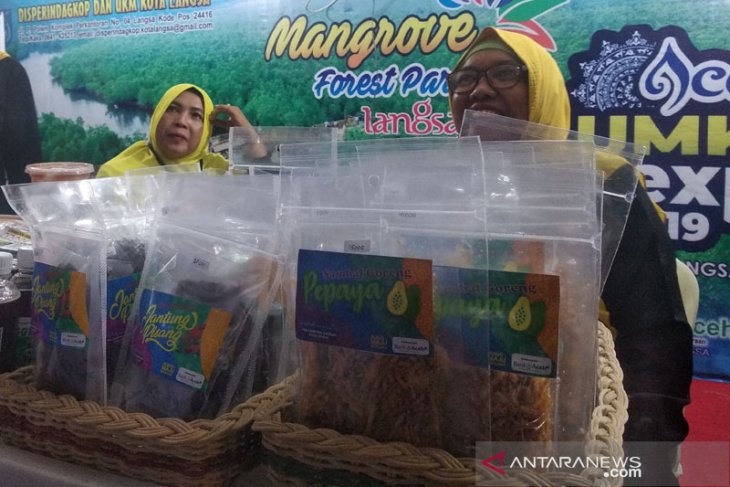 Gubernur dorong UMKM di Aceh manfaatkan teknologi digital