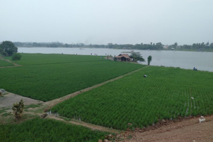 Sejumlah petani Karawang menunda tanam akibat persediaan air belum mencukupi