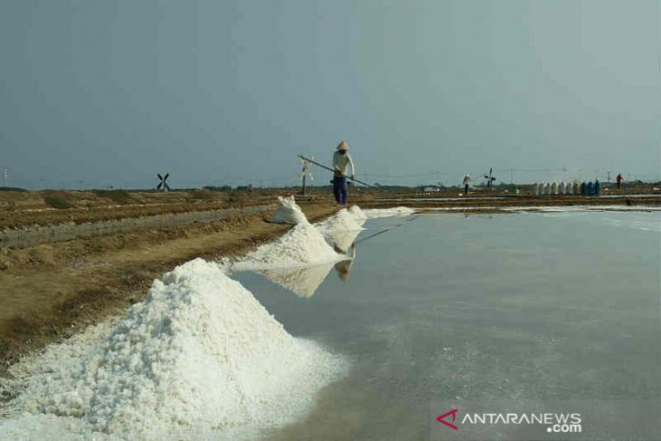 Garam rakyat petani Cirebon tak ada yang membeli