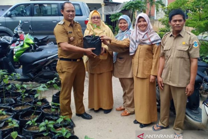 Pemprov Bangka Belitung bagikan bibit cabai tekan inflasi
