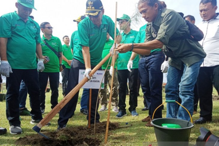PLN tanam 1.000 mangrove di Nagan Raya dukung mitigasi perubahan iklim