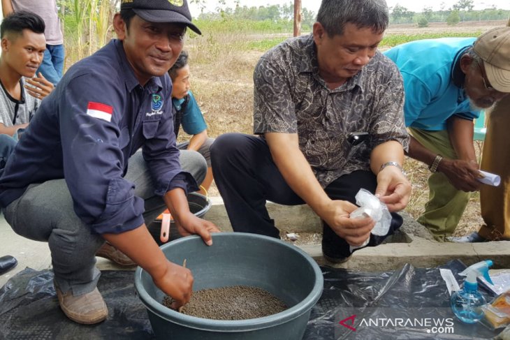 IPB kenalkan budidaya ikan lele gunakan hormon oodev kepada masyarakat Lampung