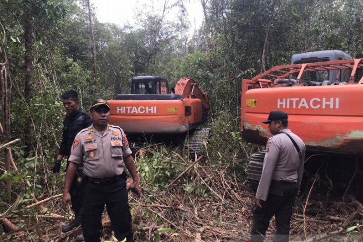 Polisi hentikan paksa perluasan kebun sawit