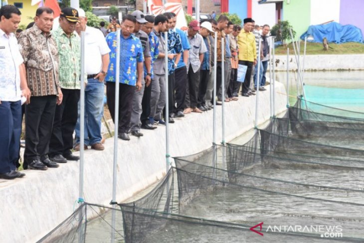 Balai benih ikan air tawar di Deliserdang resmi beroperasi