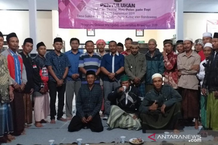 Universitas Brawijaya gelar pengobatan massal sapi ternak di Bondowoso