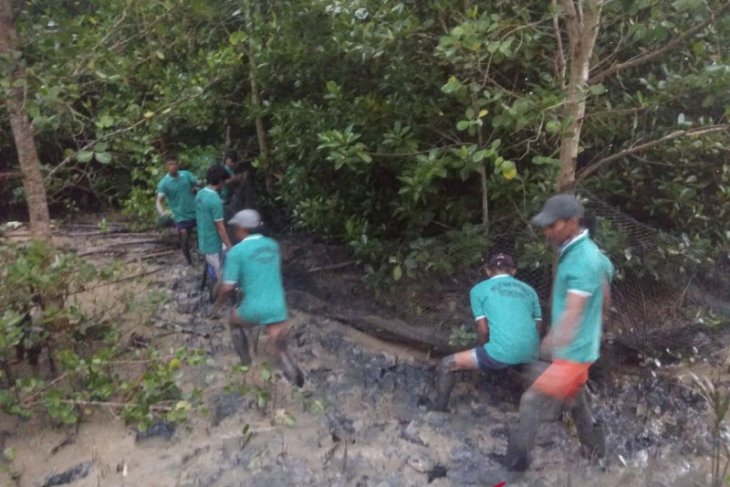 Warga Desa Sungai Duri dilatih budi daya kepiting bakau