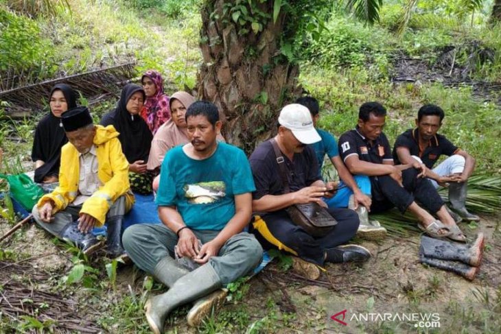 Pawang usir harimau yang mangsa ternak di Aceh Utara