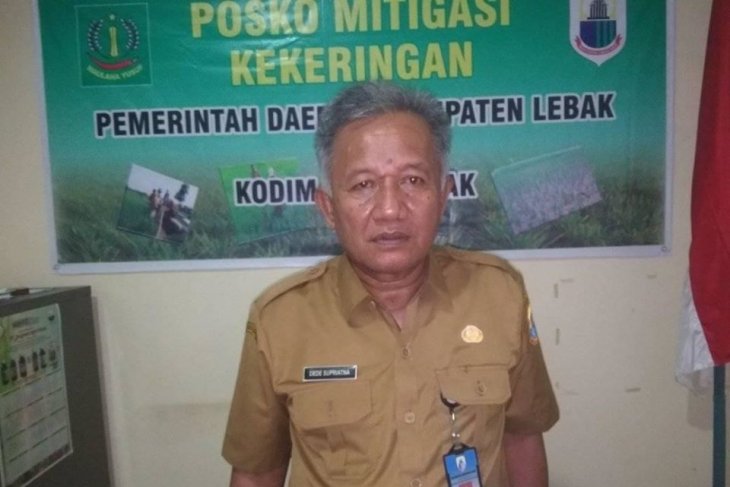 Pemkab Lebak jamin pupuk bersubsidi cukup dukung percepatan tanam Desember
