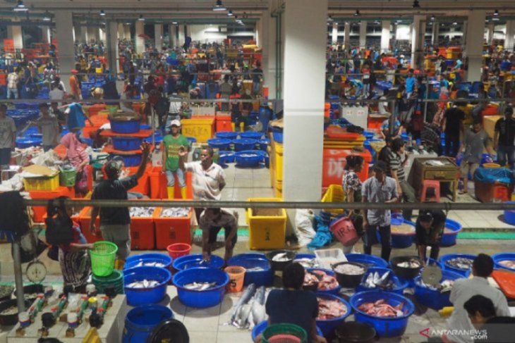 Pemerintah berencana hadirkan pasar ikan internasional di Indonesia