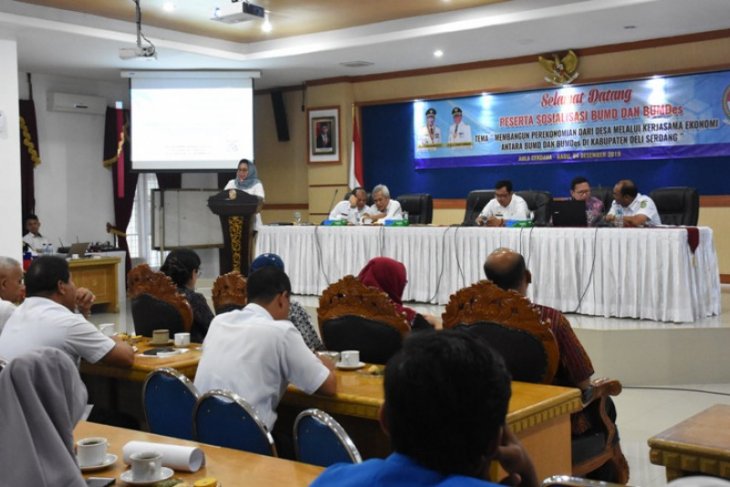 Pemkab Deliserdang terus dorong kemajuan BUMD dan BUMDes
