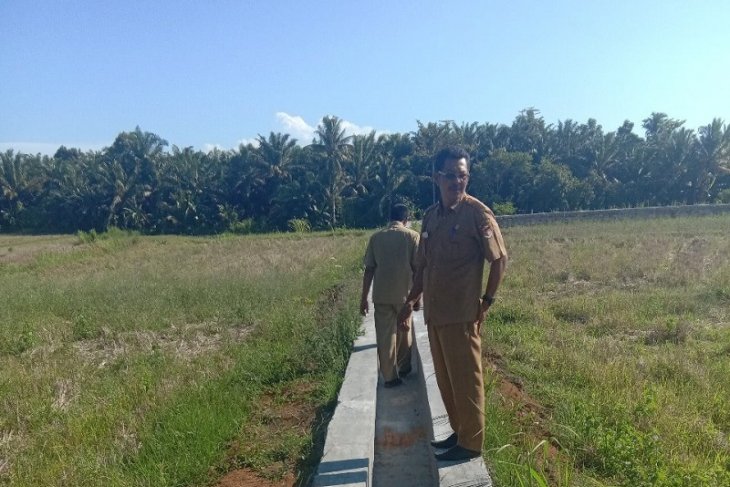 Mukomuko bangun sarana pengairan sawah rawa