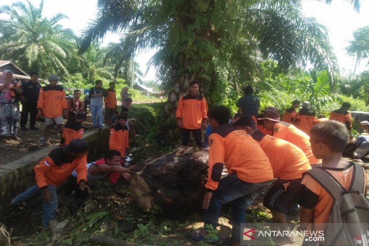 Minimalisir banjir, BPBD Tapsel dan Relawan gotongroyong bersihkan saluran air