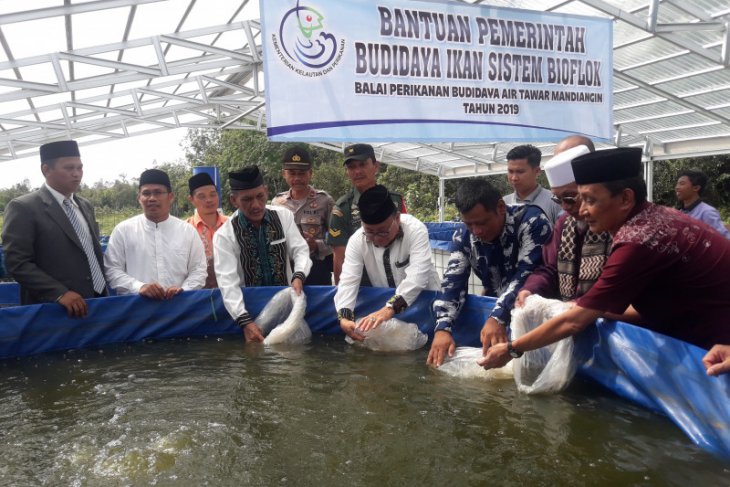 Ponpes Desa Kambitin kelola budi daya ikan bioflok