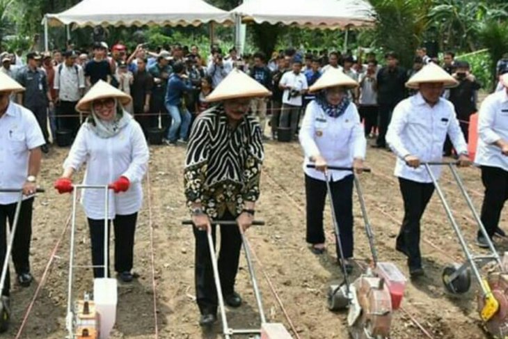 Sulbar miliki lahan kering 623.000 hektare potensial untuk pertanian