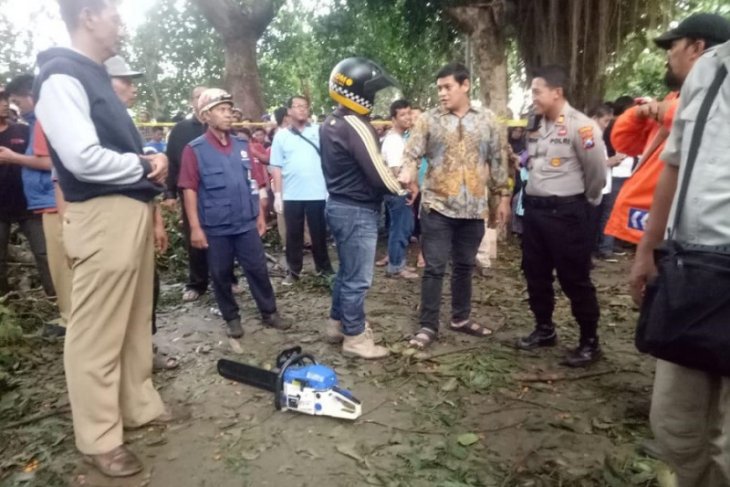 Pohon tumbang tewaskan mahasiswa