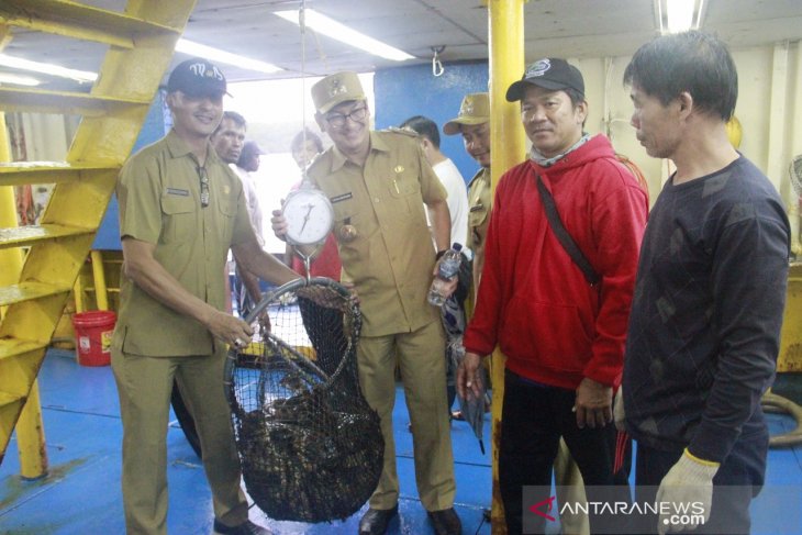 Ekspor ikan kerapu dari Belitung ke Hong Kong 90 ton
