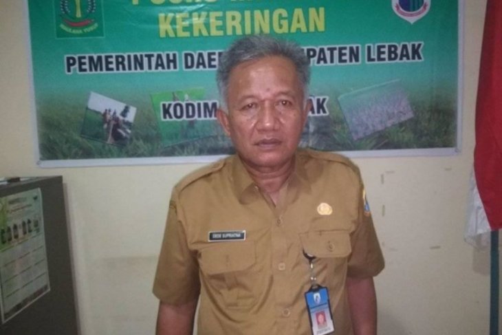 Distanbun Lebak data persawahan terdampak banjir