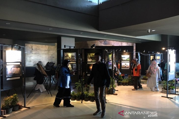 Peringati 15 tahun tsunami Aceh lewat pameran foto
