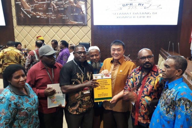 Legislator NasDem harap Provinsi Papua Barat Daya dibentuk tahun depan