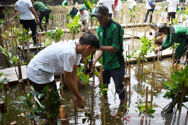 Bank DKI mulai kembangkan program keuangan berkelanjutan