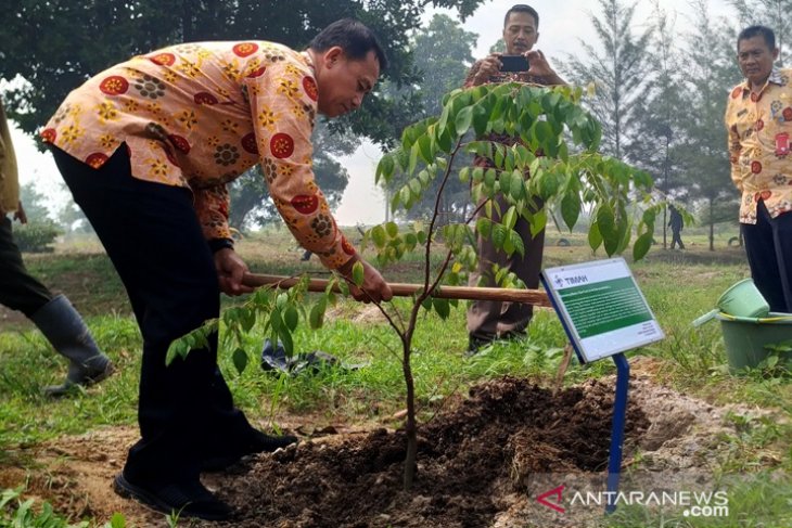 Pemkab Bangka apresiasi PT Timah kembangkan reklamasi konsep agro edutourism