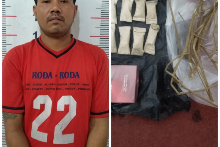 Polisi Kuala Langkat tangkap supir pemilik ganja