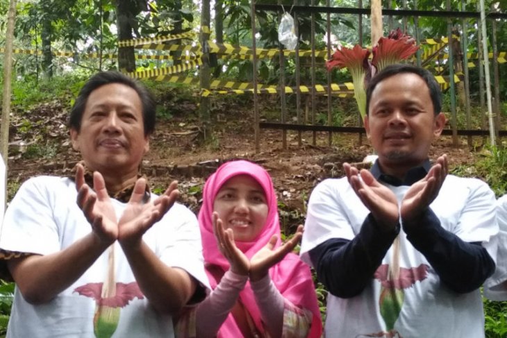 Bima Arya saksikan bunga bangkai mekar di Kebun Raya Bogor