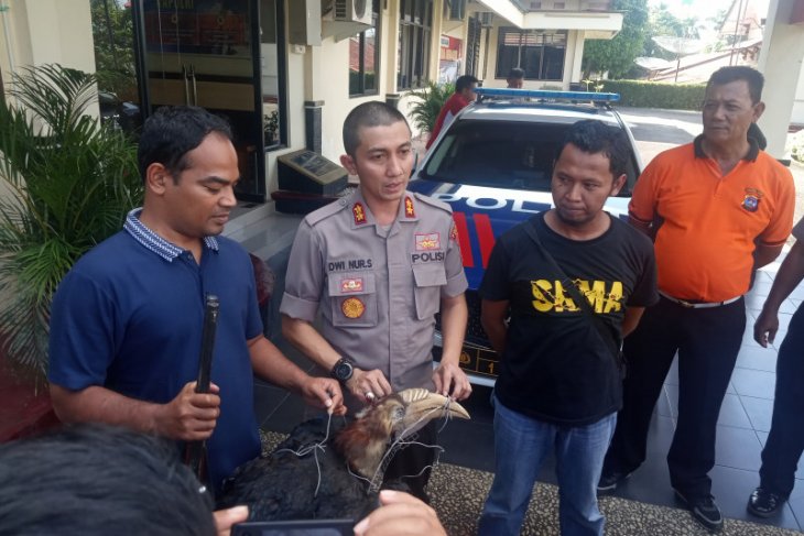 Polisi tangkap kolektor satwa yang dilindungi