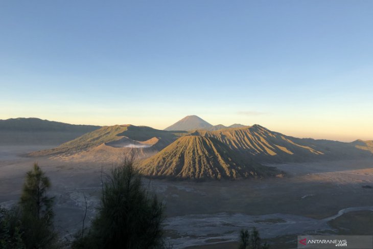 Bromo Bebas Kendaraan Bermotor Selama Satu Bulan Penuh Mulai