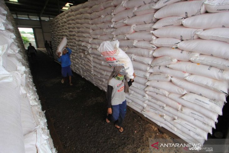 Aceh Tenggara kekurangan alokasi pupuk urea subsidi