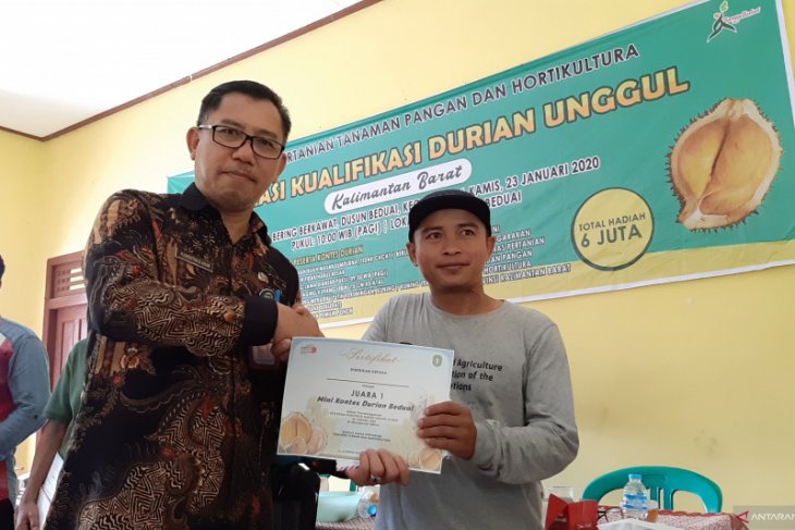 Distan Kalbar jembatani kemitraan petani durian - industri