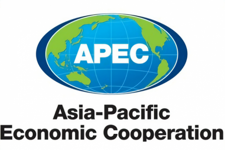 APEC to finalize novel vision in 2020