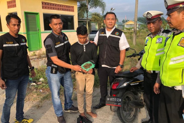 DJ musik warga Stabat bawa ganja ditangkap Satresnarkoba Polres Langkat