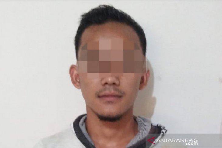 Gakkum KLHK amankan orangutan dari pemburu di Gayo Lues