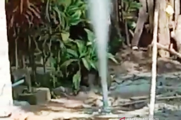 Warga panik, ada semburan gas liar muncul di pekarangan rumah