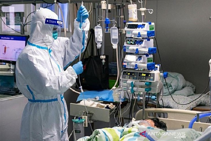 WHO sebut Virus corona capai 1320 kasus di 10 negara