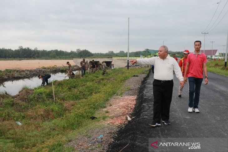 Pemkab Tanjungjabung Barat galakkan budaya menanam pohon