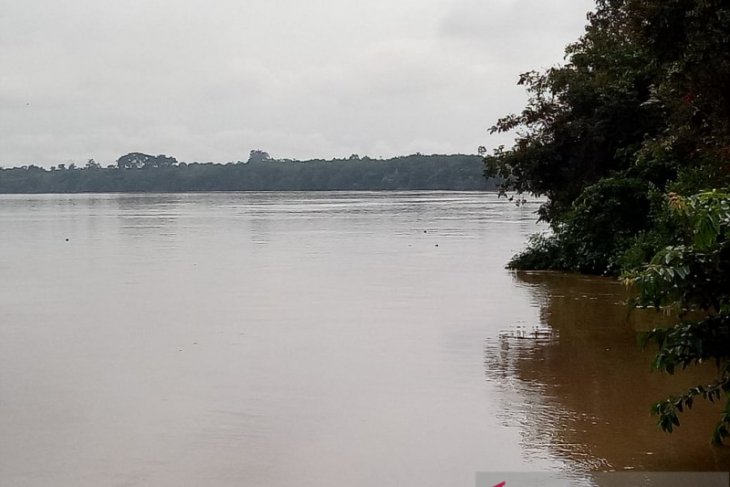 Kota Jambi siaga hadapi banjir luapan Sungai Batanghari