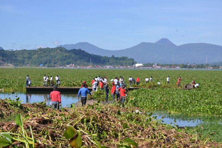 Lantamal VIII bersama masyarakat bersih-bersih eceng gondok Danau Tondano