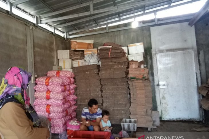 Kebutuhan bawang putih di Belitung mencapai 371 ton per tahun