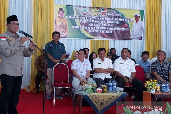 110 petani Kotabaru terima dana peremajaan sawit