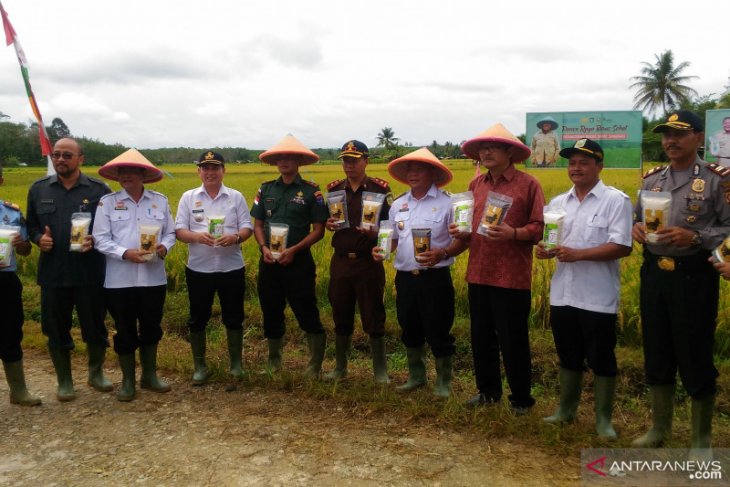 FAO-Kementan gandeng petani di perbatasan Kalbar produksi beras sehat